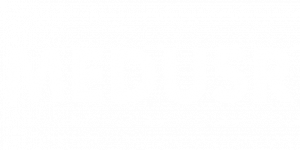 MEDUSR 3D Scanning